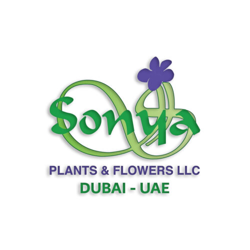 Best garden landscaping services in Dubai
