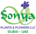 Sonya Plants & Flowers-