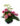 vase-arrangement-spf-151.jpg